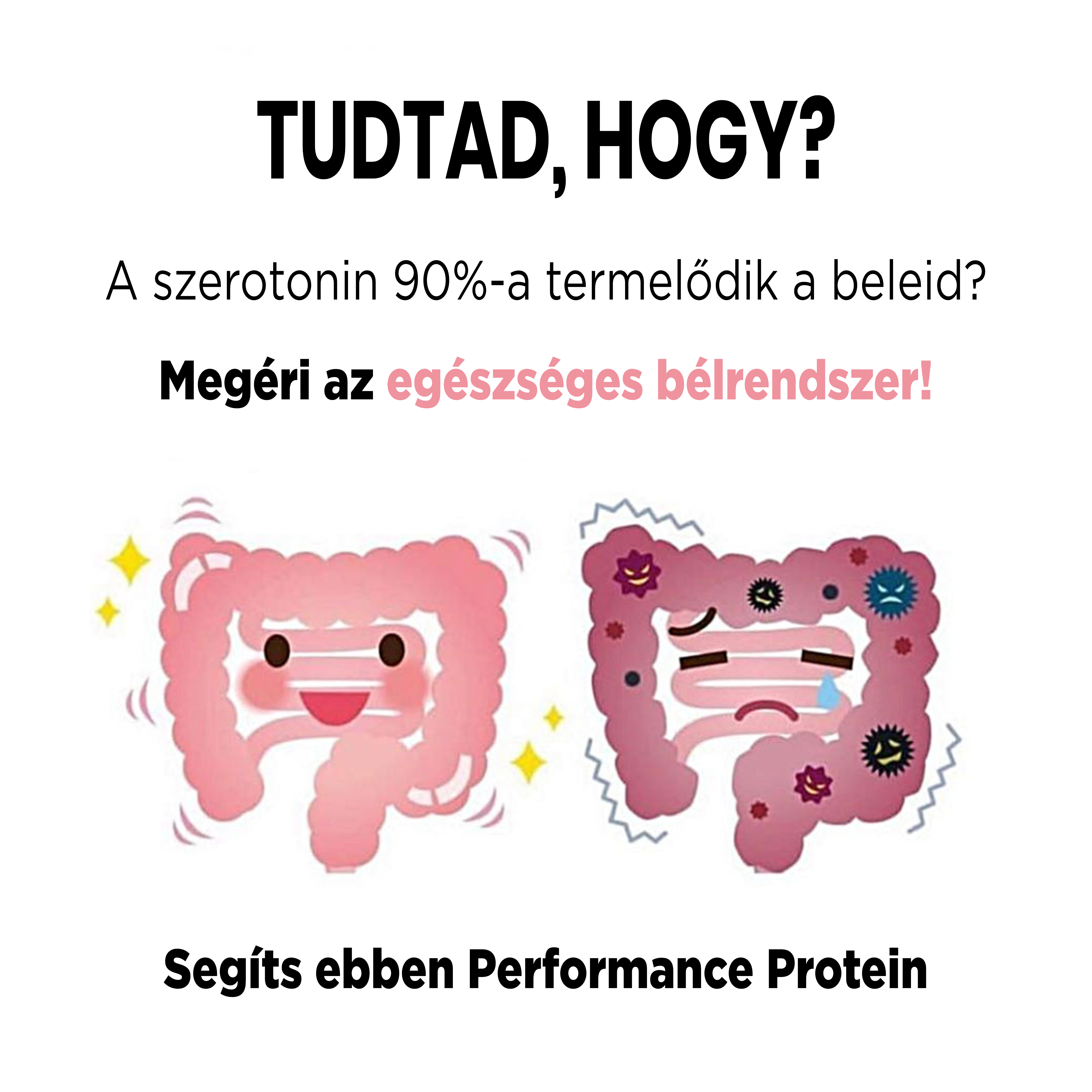 zdrave-strevo_performance protein_hu